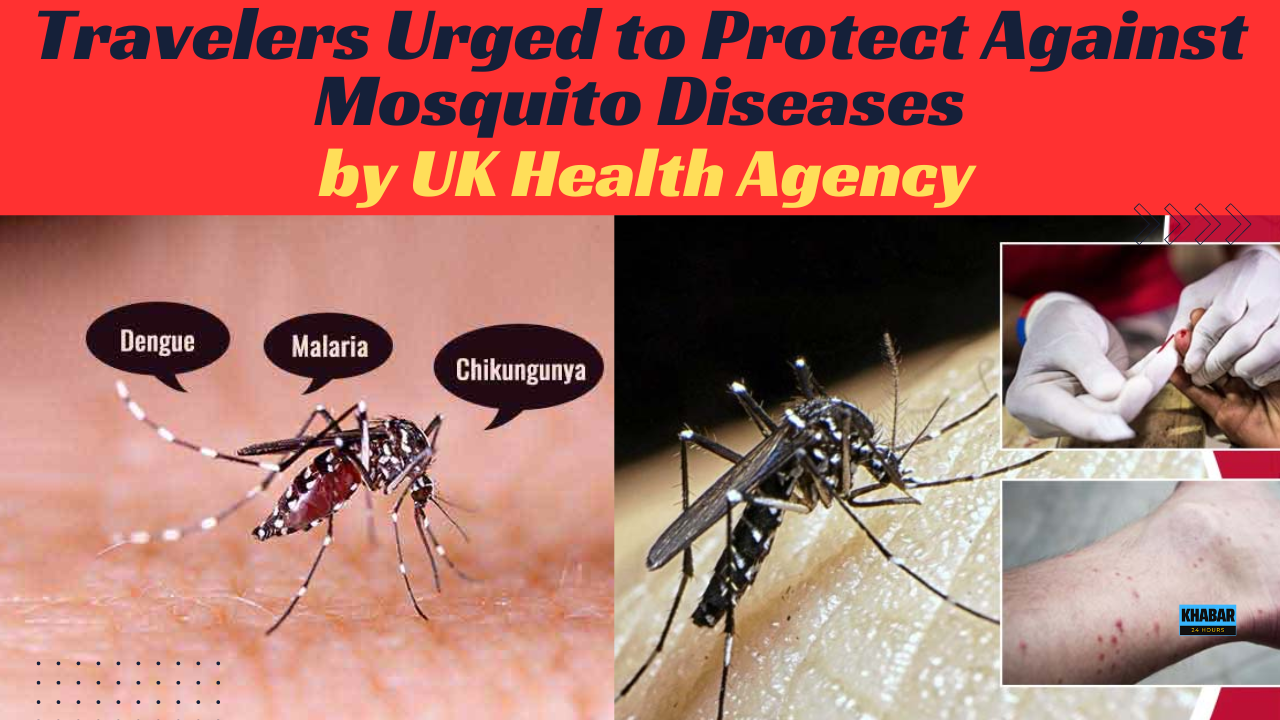 Dengue and Malaria Cases Surge Worldwide"